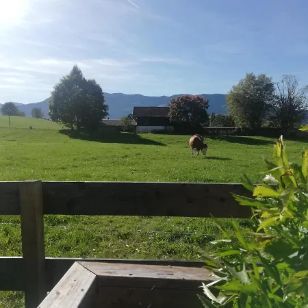 Haus Schreder Apartment