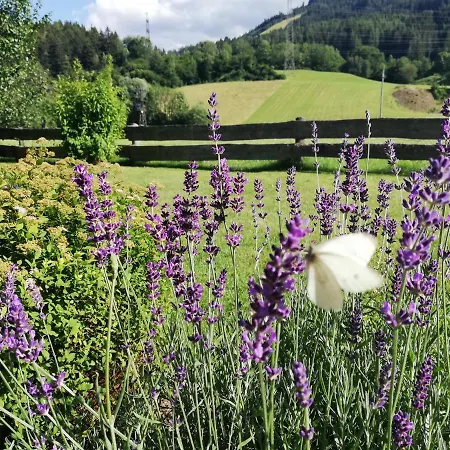 Haus Schreder * Saalfelden