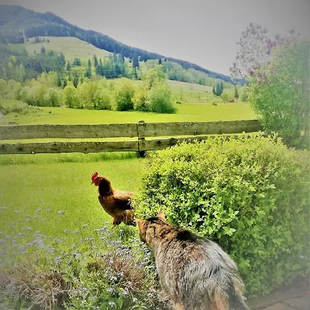 Haus Schreder Apartmán