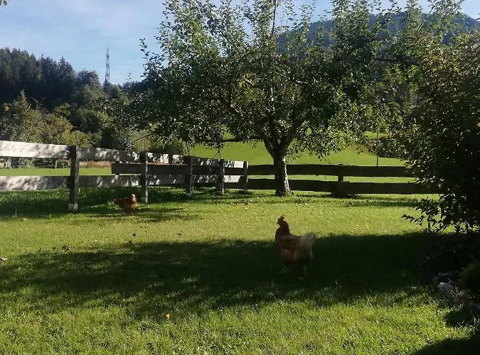 Haus Schreder Apartment