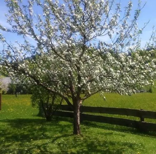 アパート Haus Schreder ザールフェルデン・アム・シュタイナーネン・メアー