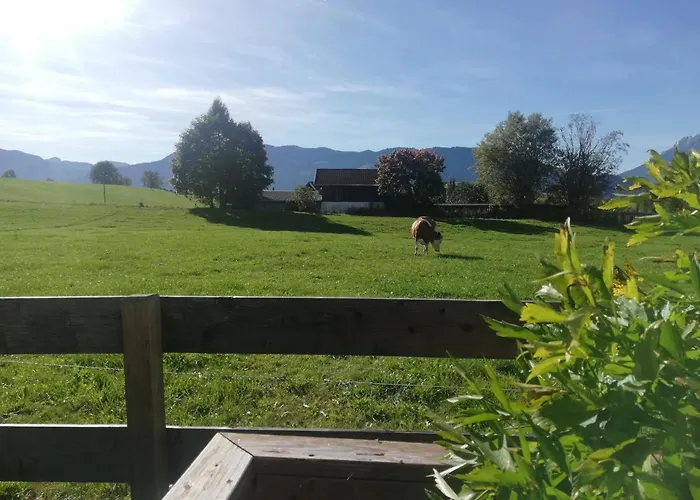 Haus Schreder Apartment