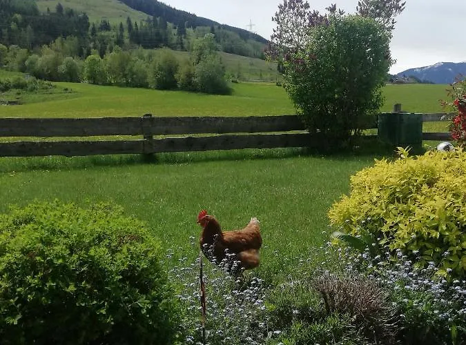 Haus Schreder アパート *