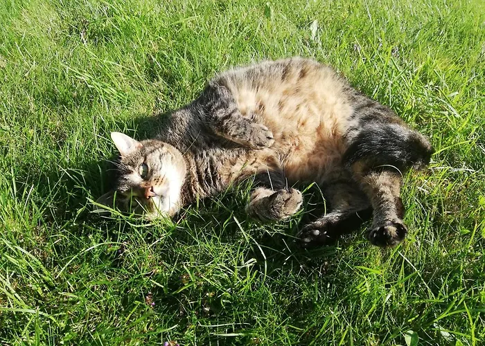 Apartment Haus Schreder