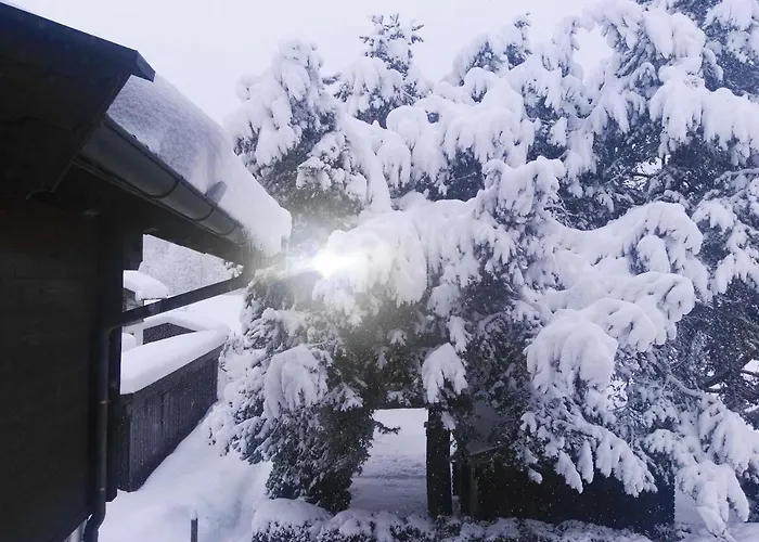 Haus Schreder アパート