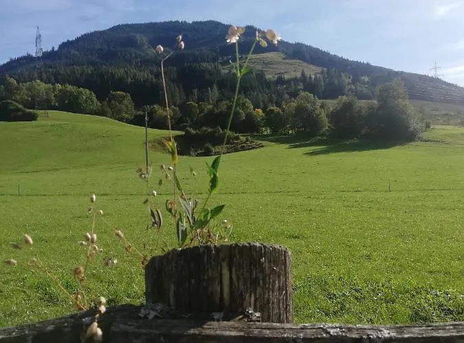 Haus Schreder アパート