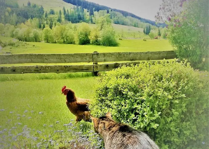 Haus Schreder アパート